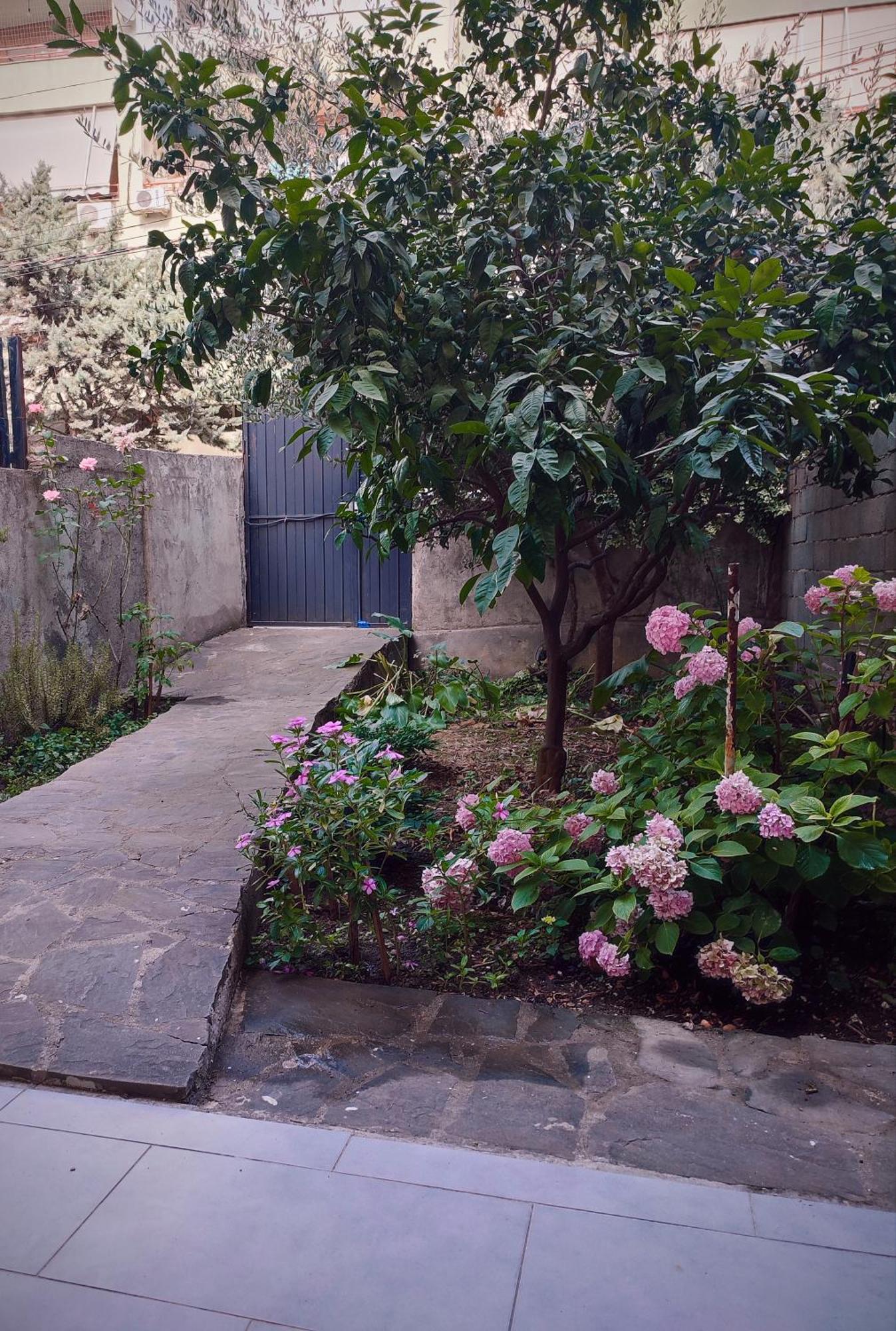 Rooms Xani Tiran Dış mekan fotoğraf